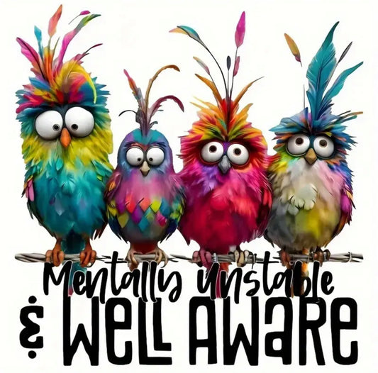 “Mentally Unstable & Well Aware Birds” Funny Graphic Tee, 3x3in be